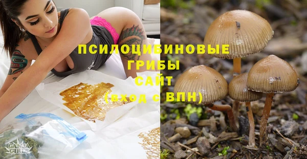 ГАЛЛЮЦИНОГЕННЫЕ ГРИБЫ Мегион