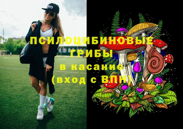 mdma Медвежьегорск