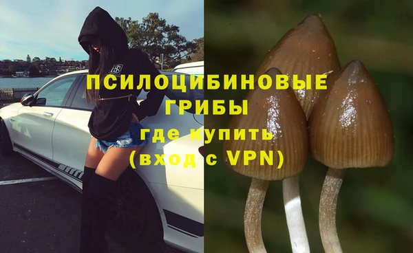 ГАЛЛЮЦИНОГЕННЫЕ ГРИБЫ Мегион