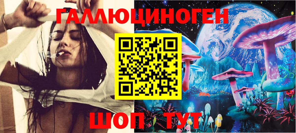 Псилоцибиновые грибы Cubensis Всеволожск