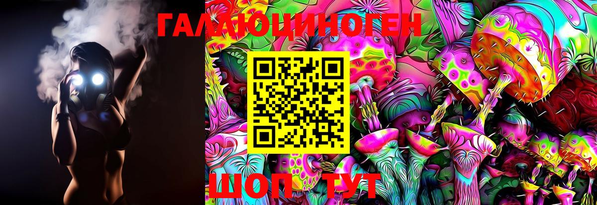 Галлюциногенные грибы Cubensis  Псилоцибиновые грибы Cubensis  Вход с VPN  Всеволожск 