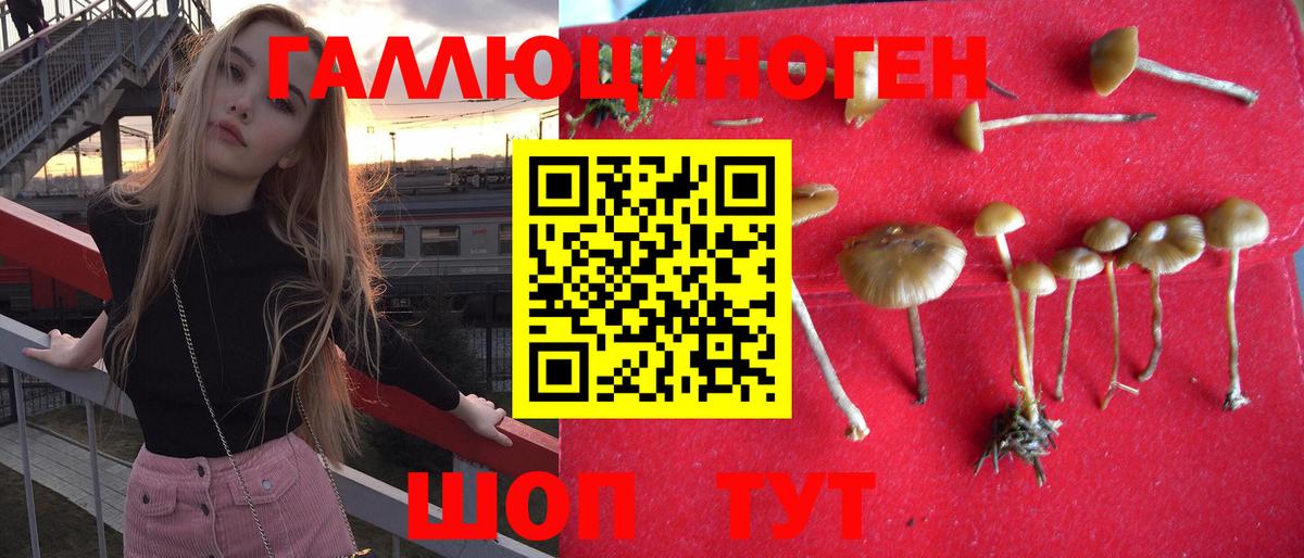 Псилоцибиновые грибы ЛСД Всеволожск